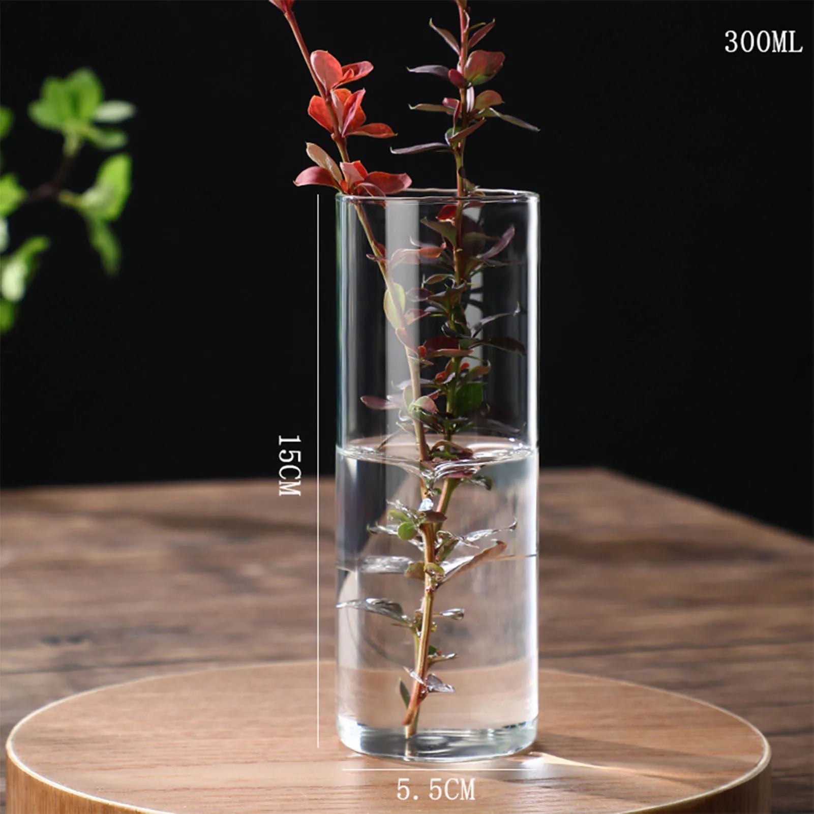 Vase Hydroponique en Verre Transparent
