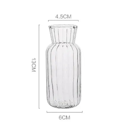 Vases Scandinaves Transparents Hydroponique en Verre