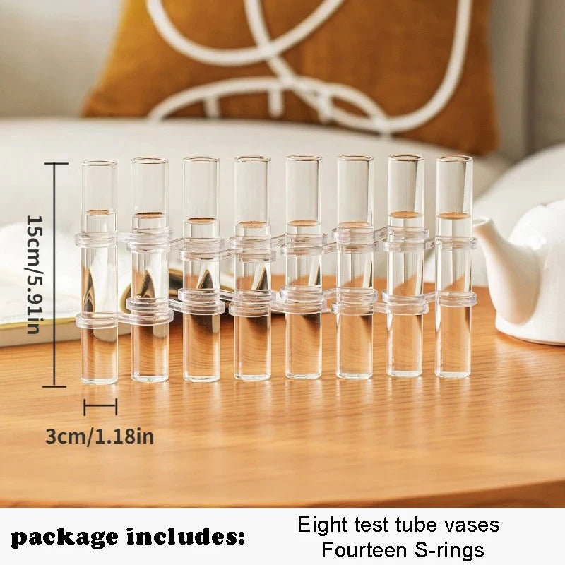 Set de Vases Hydroponique Cylindrique en Verre