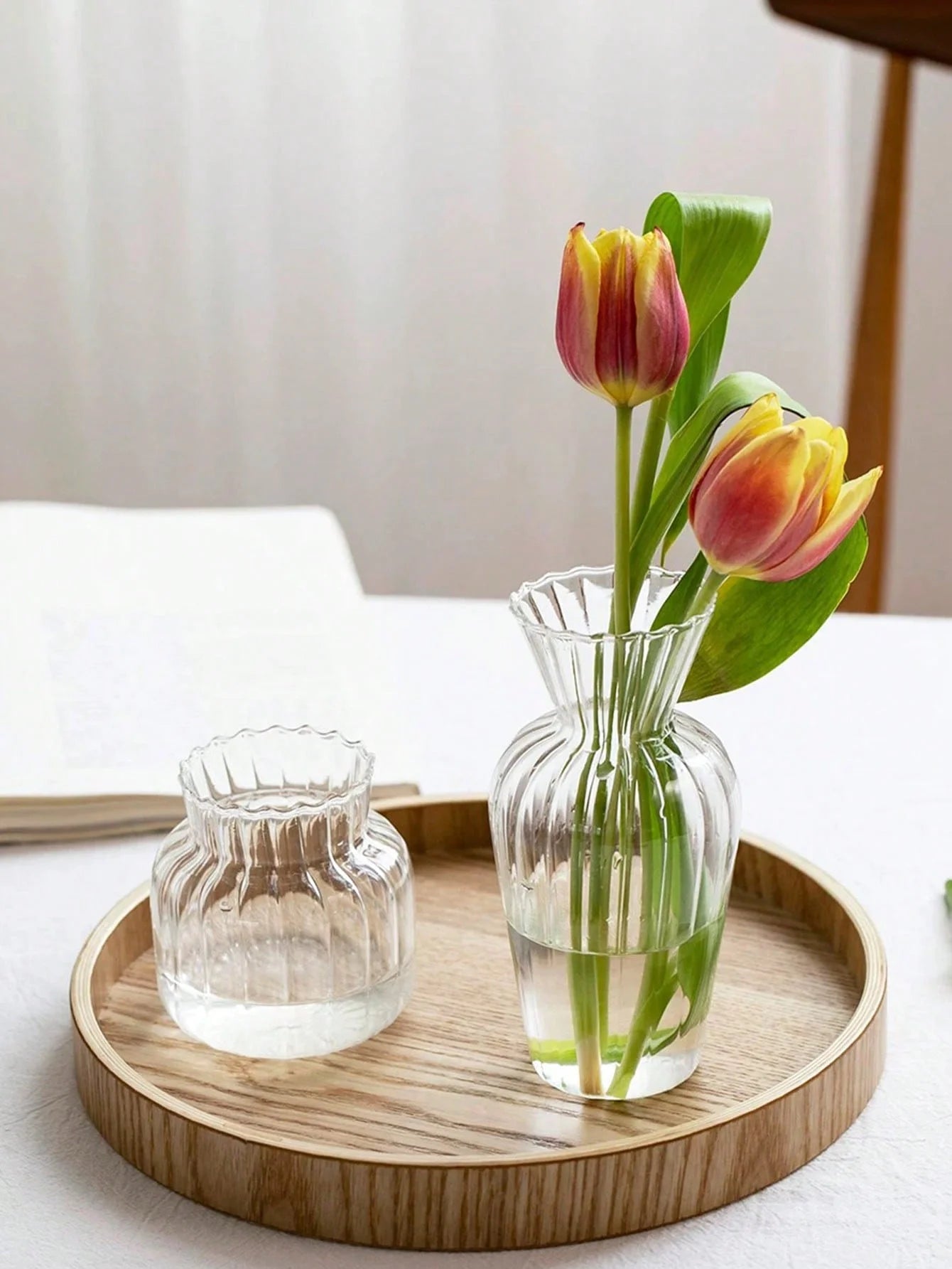 Petit Vases Émaillé Hydroponique en Verre