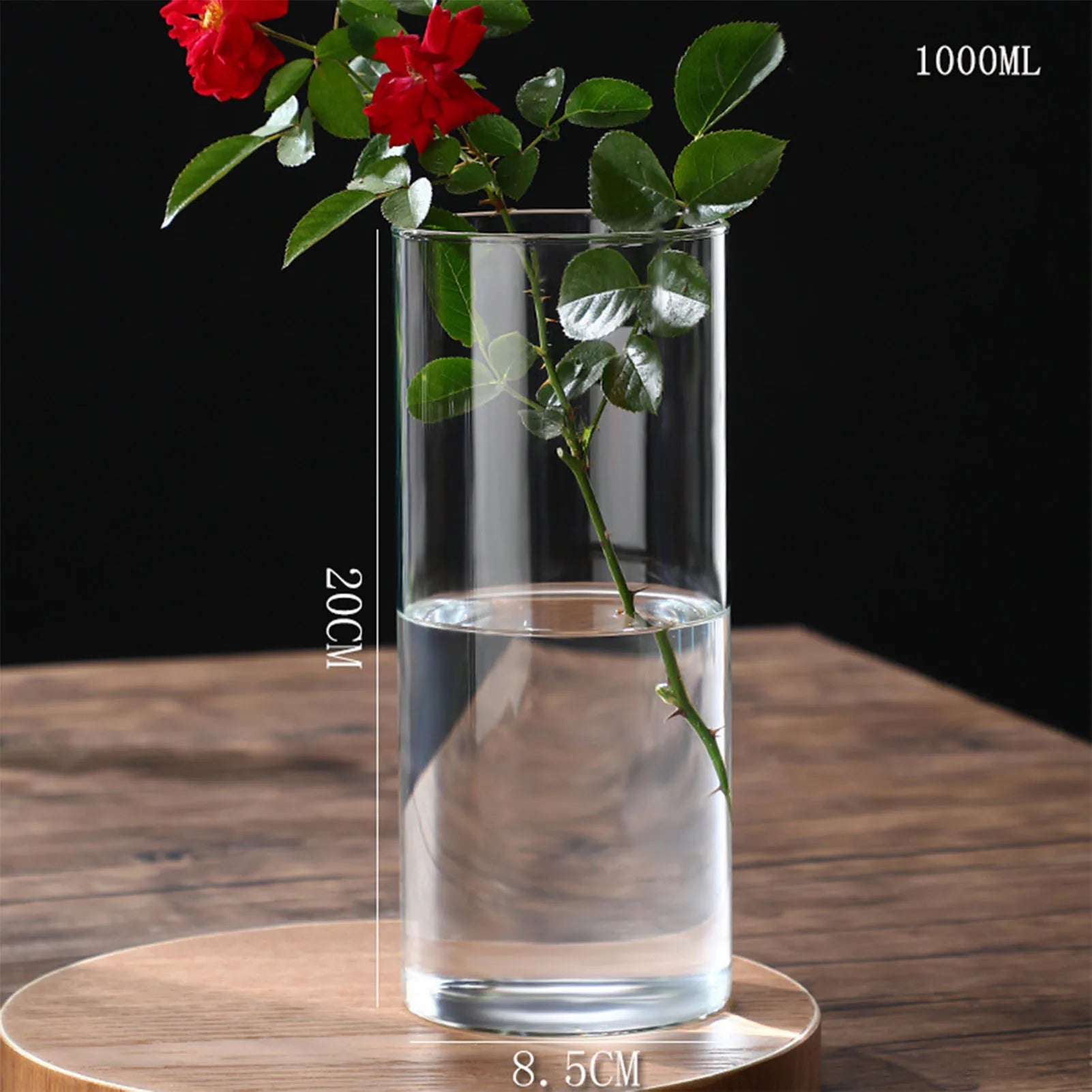 Vase Hydroponique en Verre Transparent