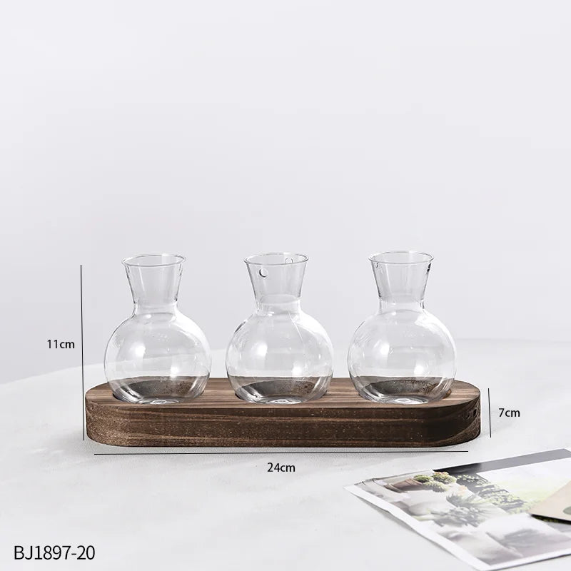 Vases Ampoule Transparent sur socle de Bois