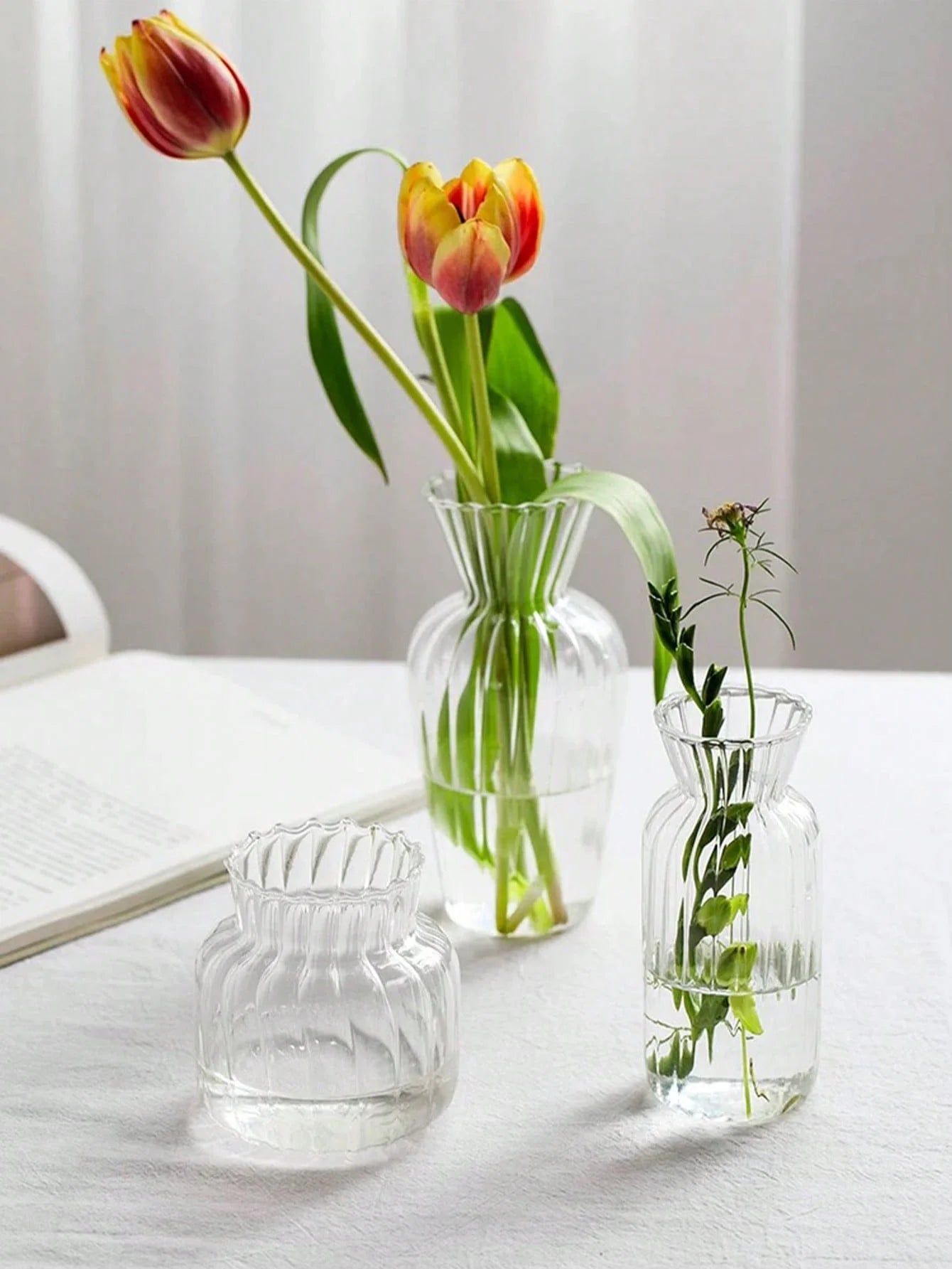 Petit Vases Émaillé Hydroponique en Verre