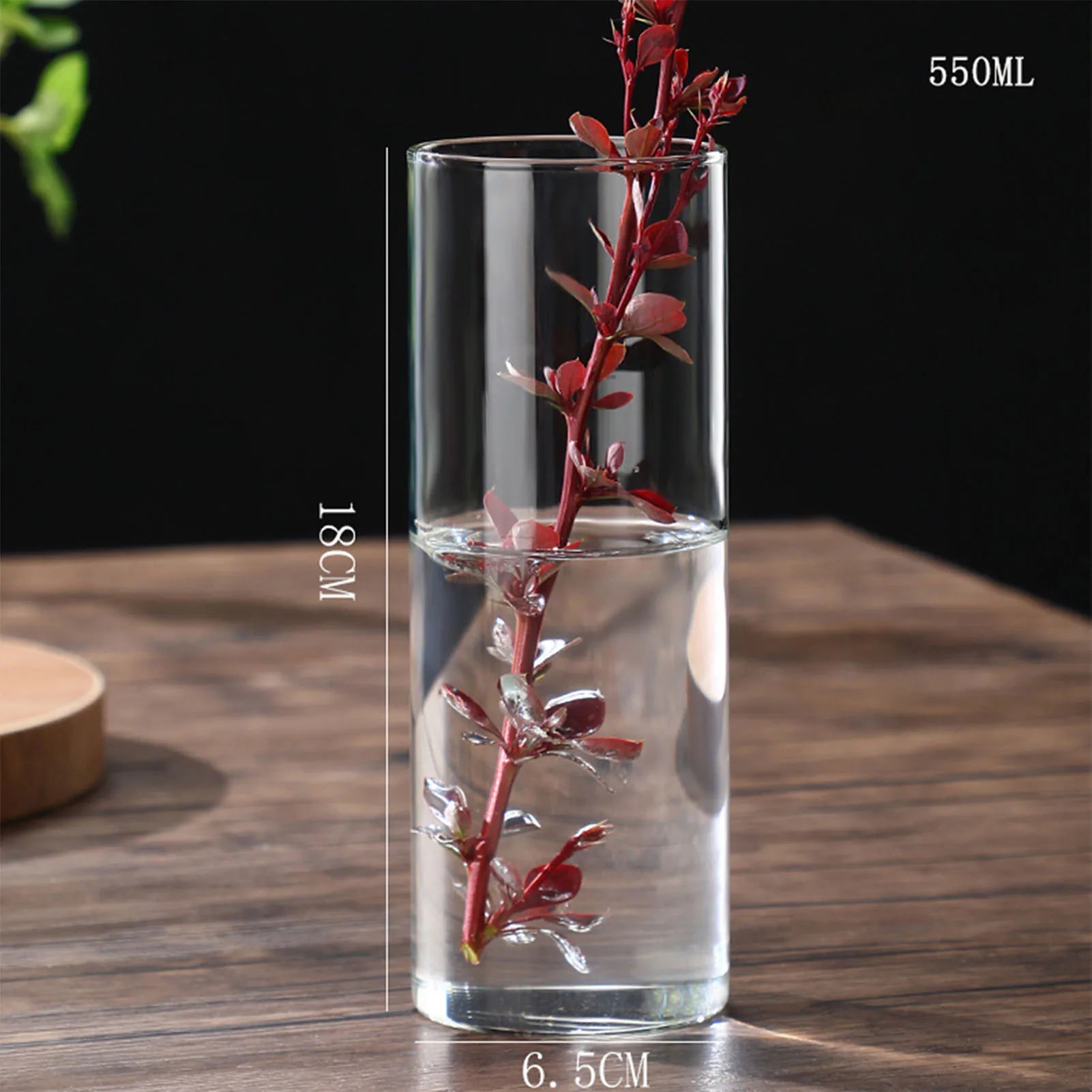 Vase Hydroponique en Verre Transparent