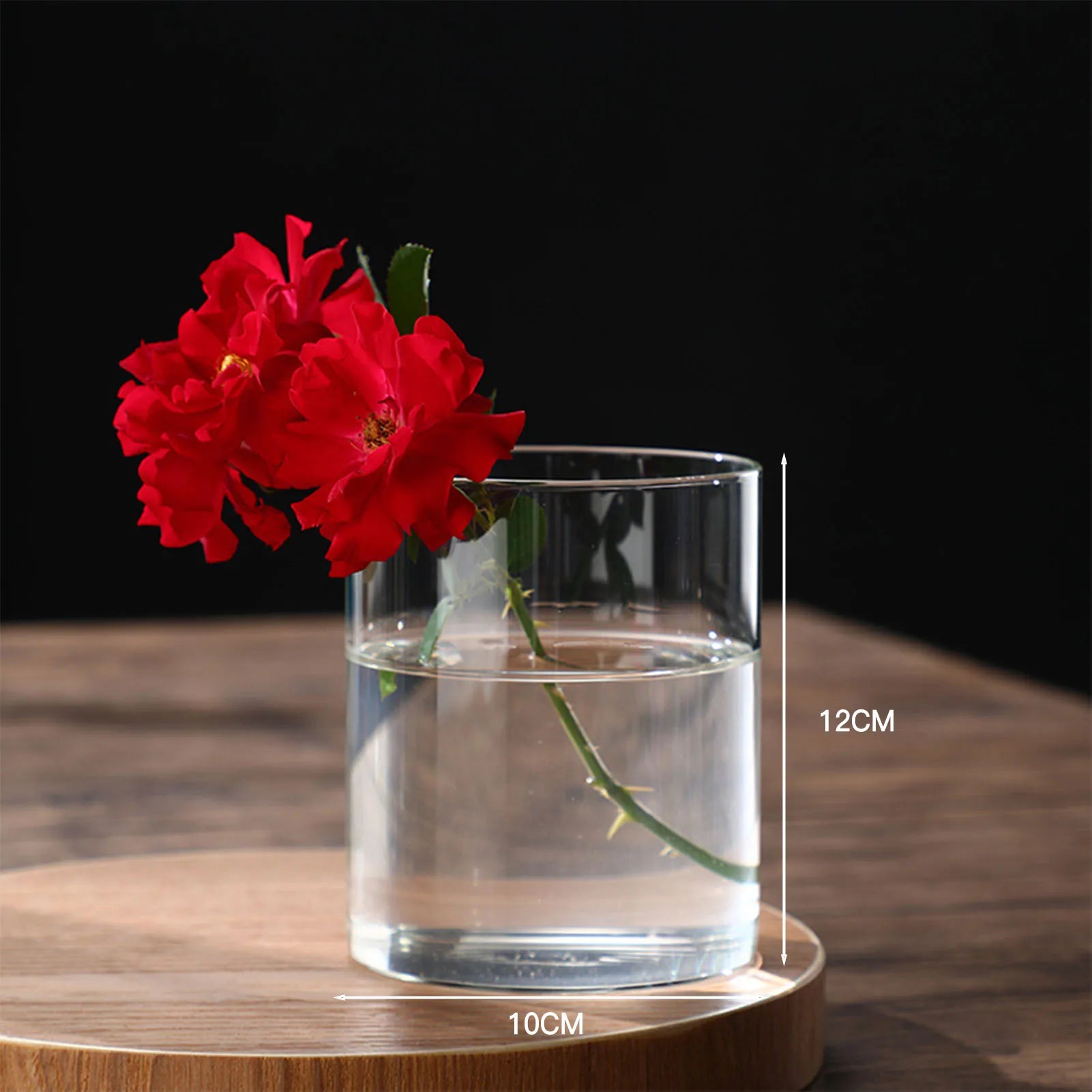 Vase Hydroponique en Verre Transparent