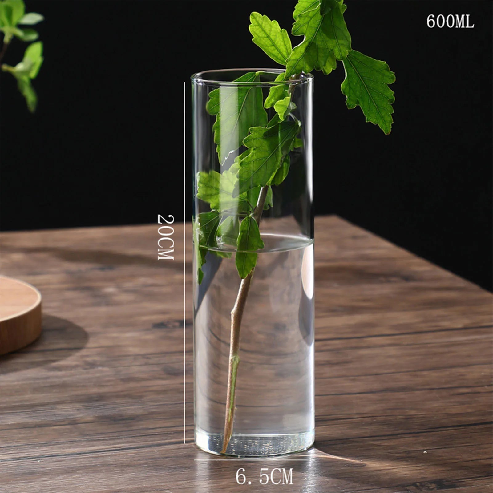 Vase Hydroponique Cylindrique Moderne en Verre