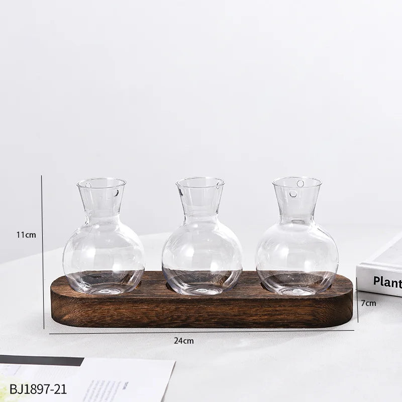 Vases Ampoule Transparent sur socle de Bois