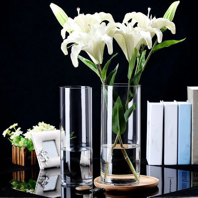 Vase Hydroponique en Verre Transparent