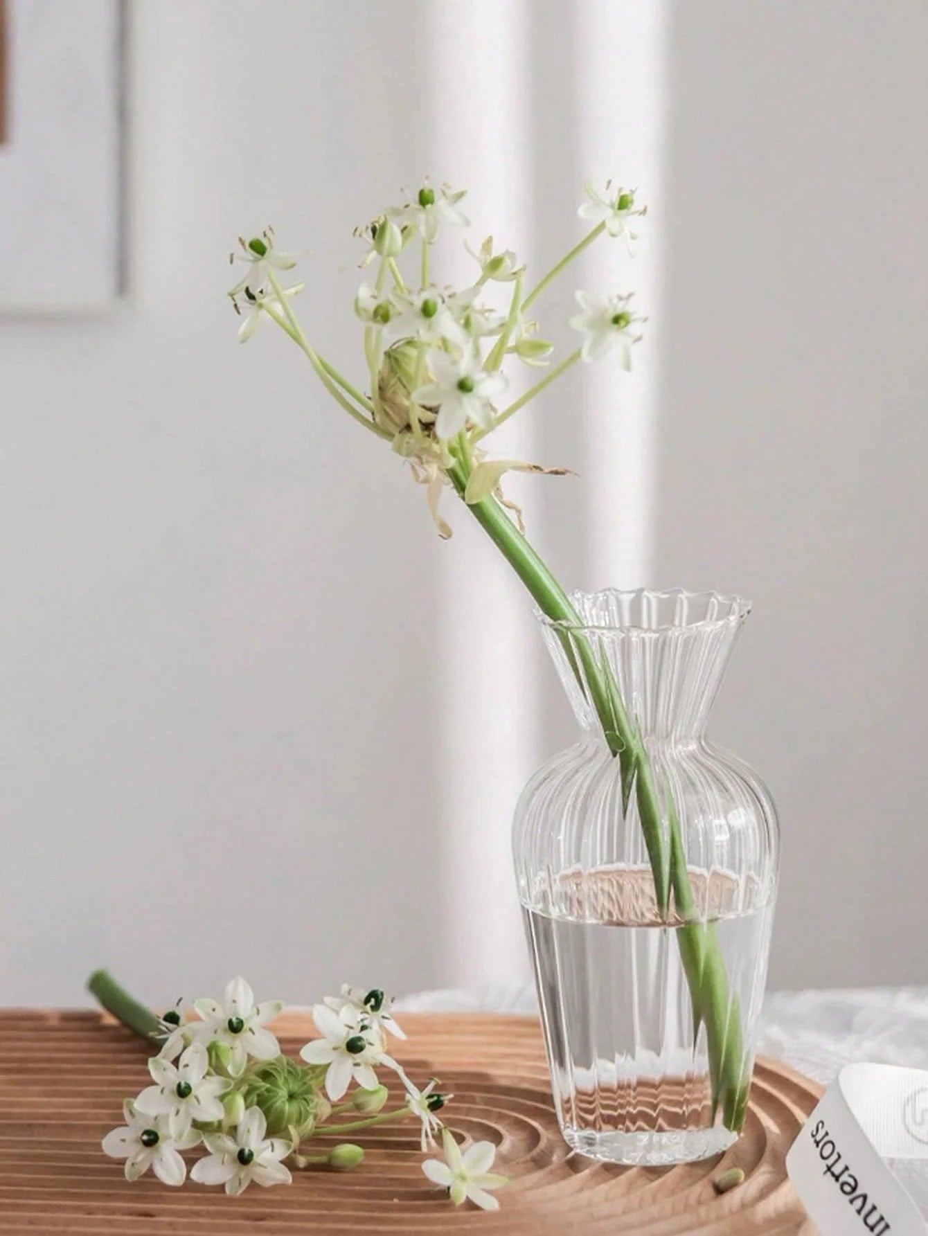 Petit Vases Émaillé Hydroponique en Verre