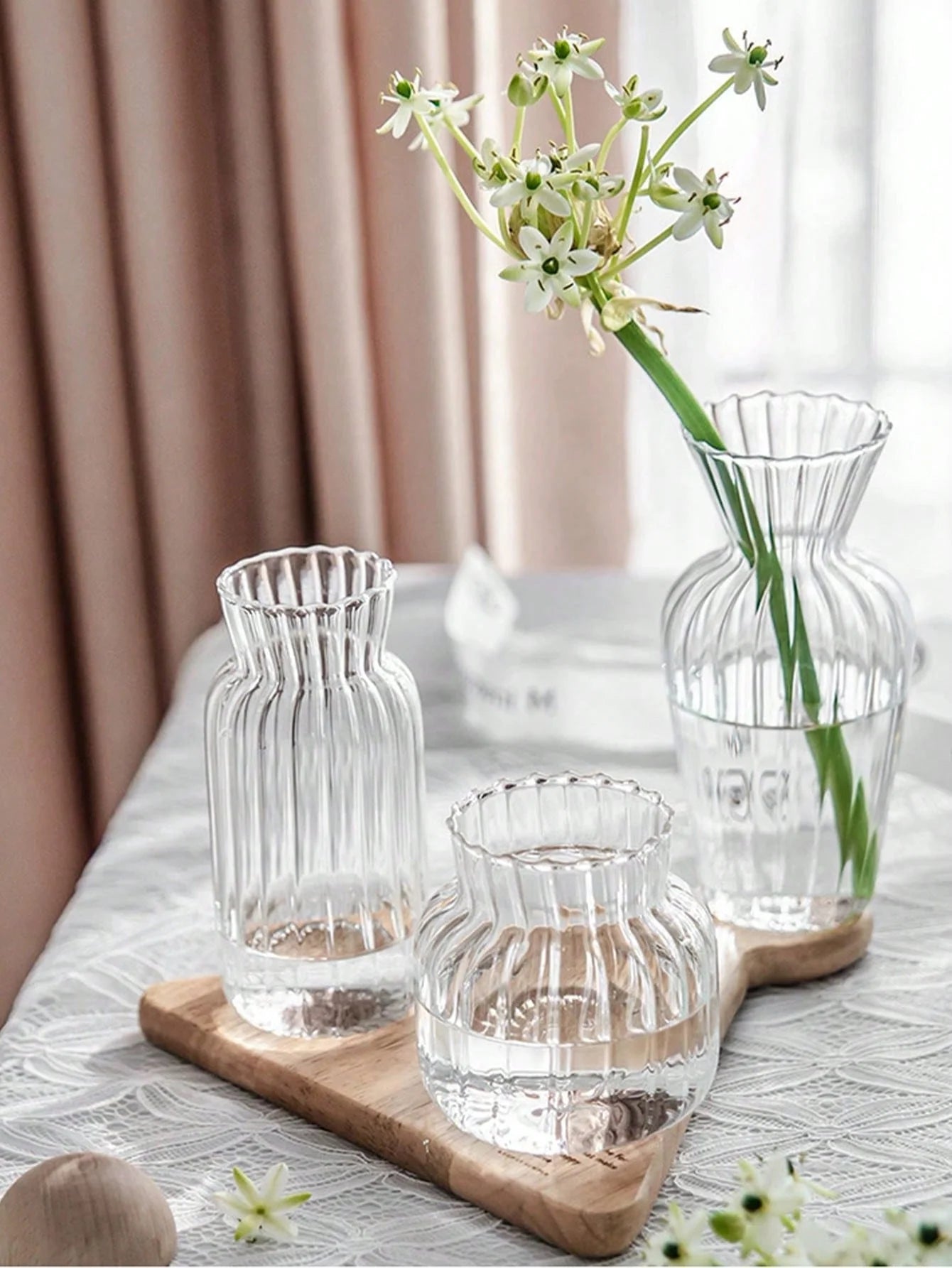 Petit Vases Émaillé Hydroponique en Verre