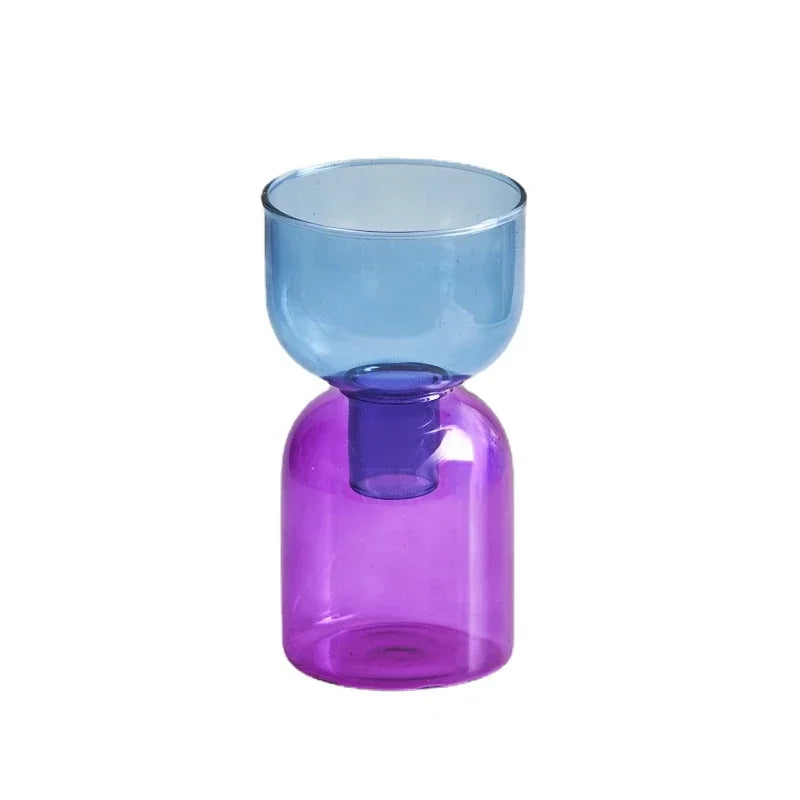 Set Vase Hydroponique Deux Pièces en Verre