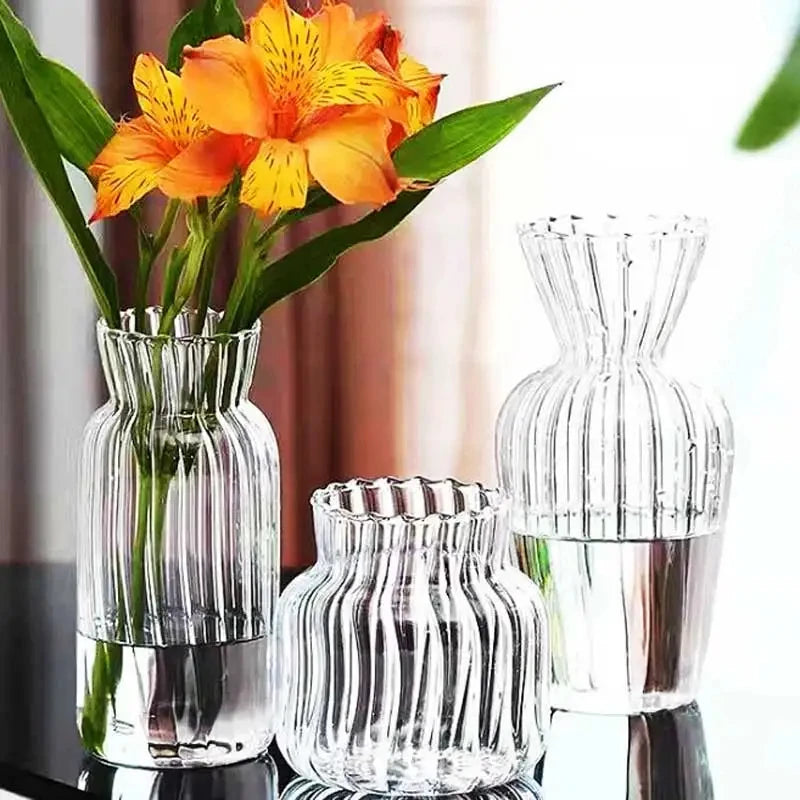 Vases Scandinaves Transparents Hydroponique en Verre
