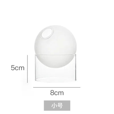 Vases Hydroponique Ronds en Verre Borosilicate