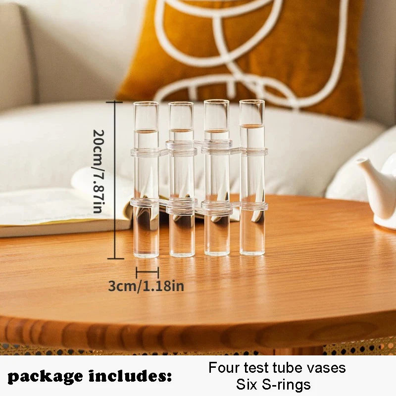 Set de Vases Hydroponique Cylindrique en Verre