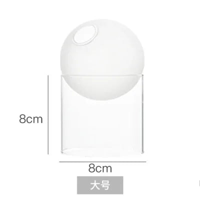 Vases Hydroponique Ronds en Verre Borosilicate