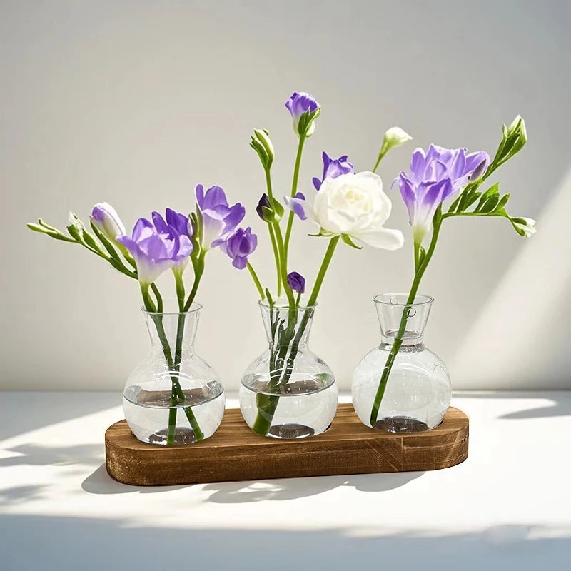 Vases Ampoule Transparent sur socle de Bois