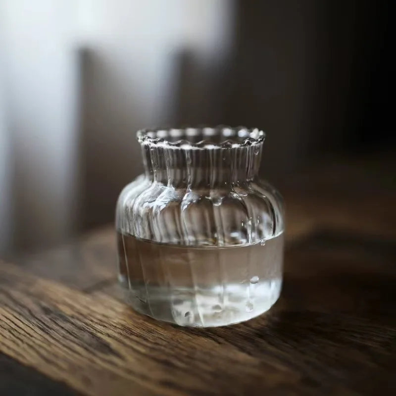 Petit Vases Émaillé Hydroponique en Verre