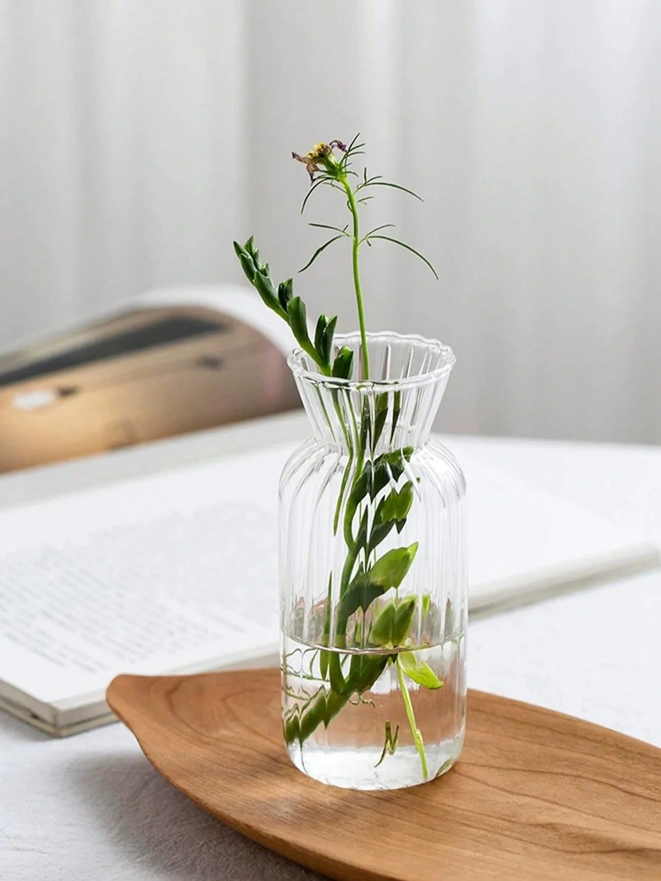 Petit Vases Émaillé Hydroponique en Verre