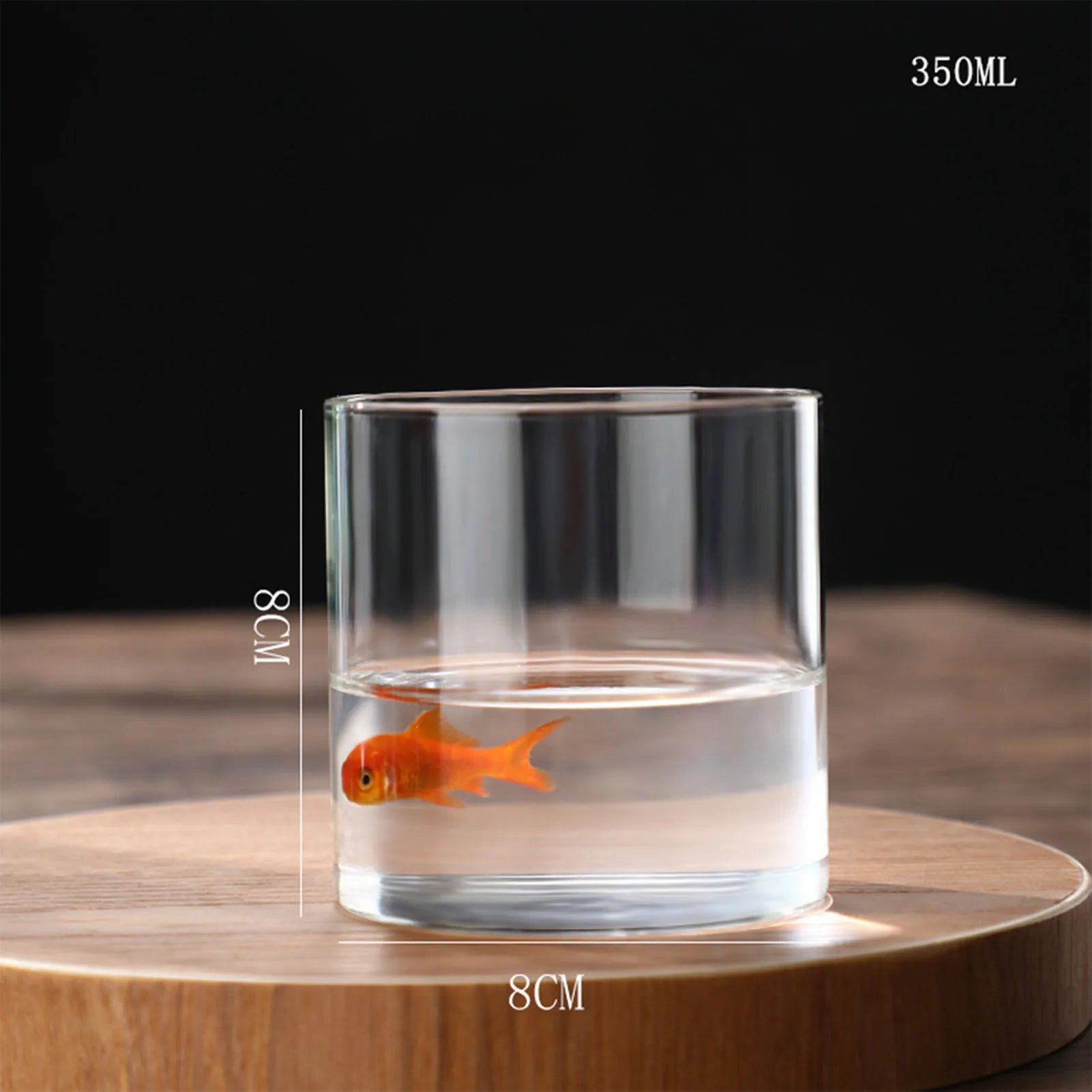 Vase Hydroponique Cylindrique Moderne en Verre