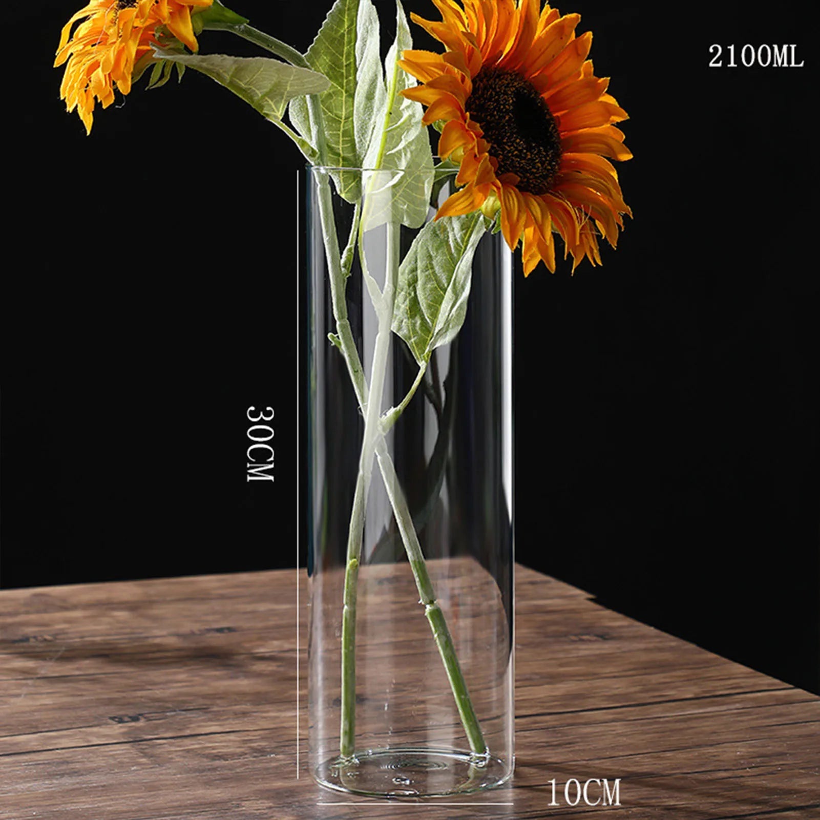 Vase Hydroponique en Verre Transparent