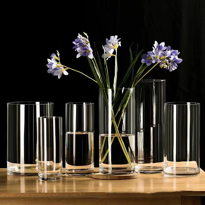 Vase Hydroponique en Verre Transparent