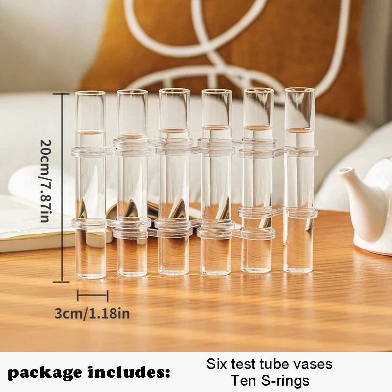 Set de Vases Hydroponique Cylindrique en Verre