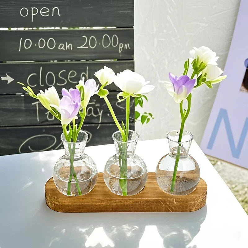 Vases Ampoule Transparent sur socle de Bois