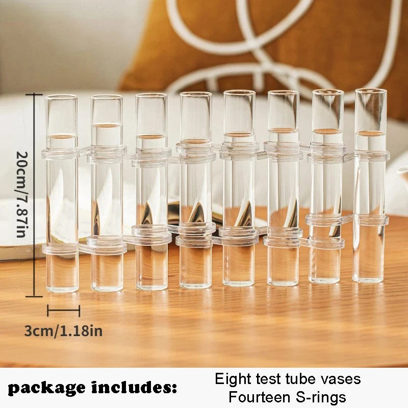 Set de Vases Hydroponique Cylindrique en Verre