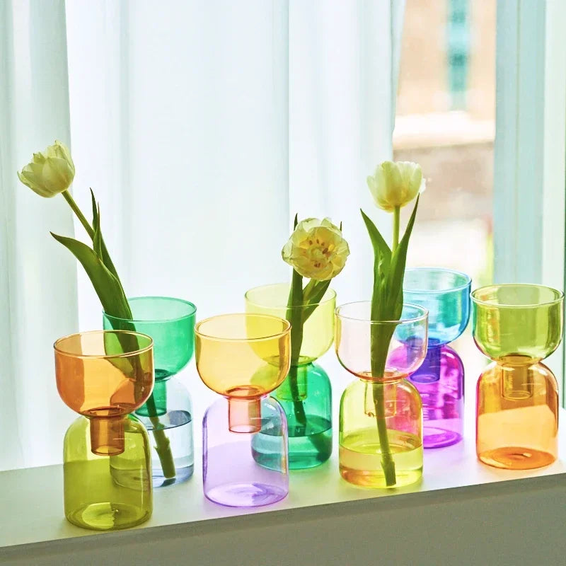 Set Vase Hydroponique Deux Pièces en Verre