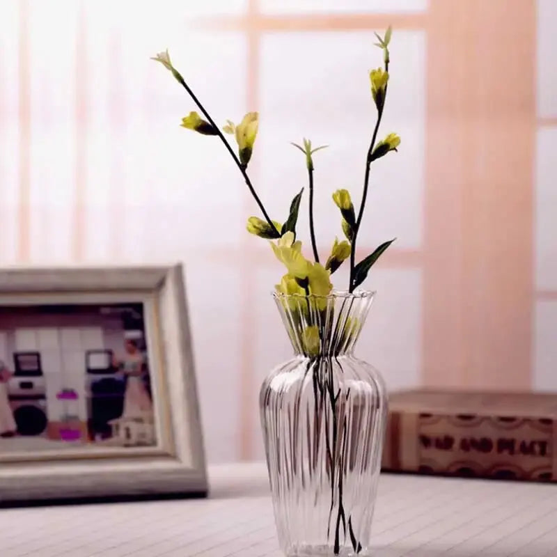 Vases Scandinaves Transparents Hydroponique en Verre