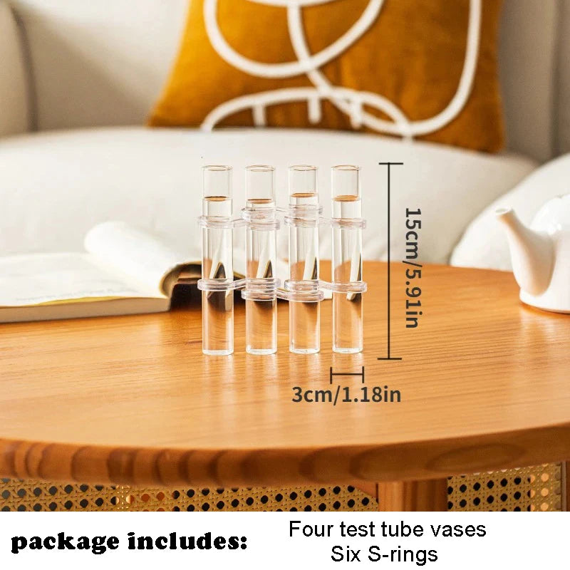 Set de Vases Hydroponique Cylindrique en Verre