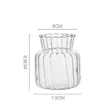 Vases Scandinaves Transparents Hydroponique en Verre