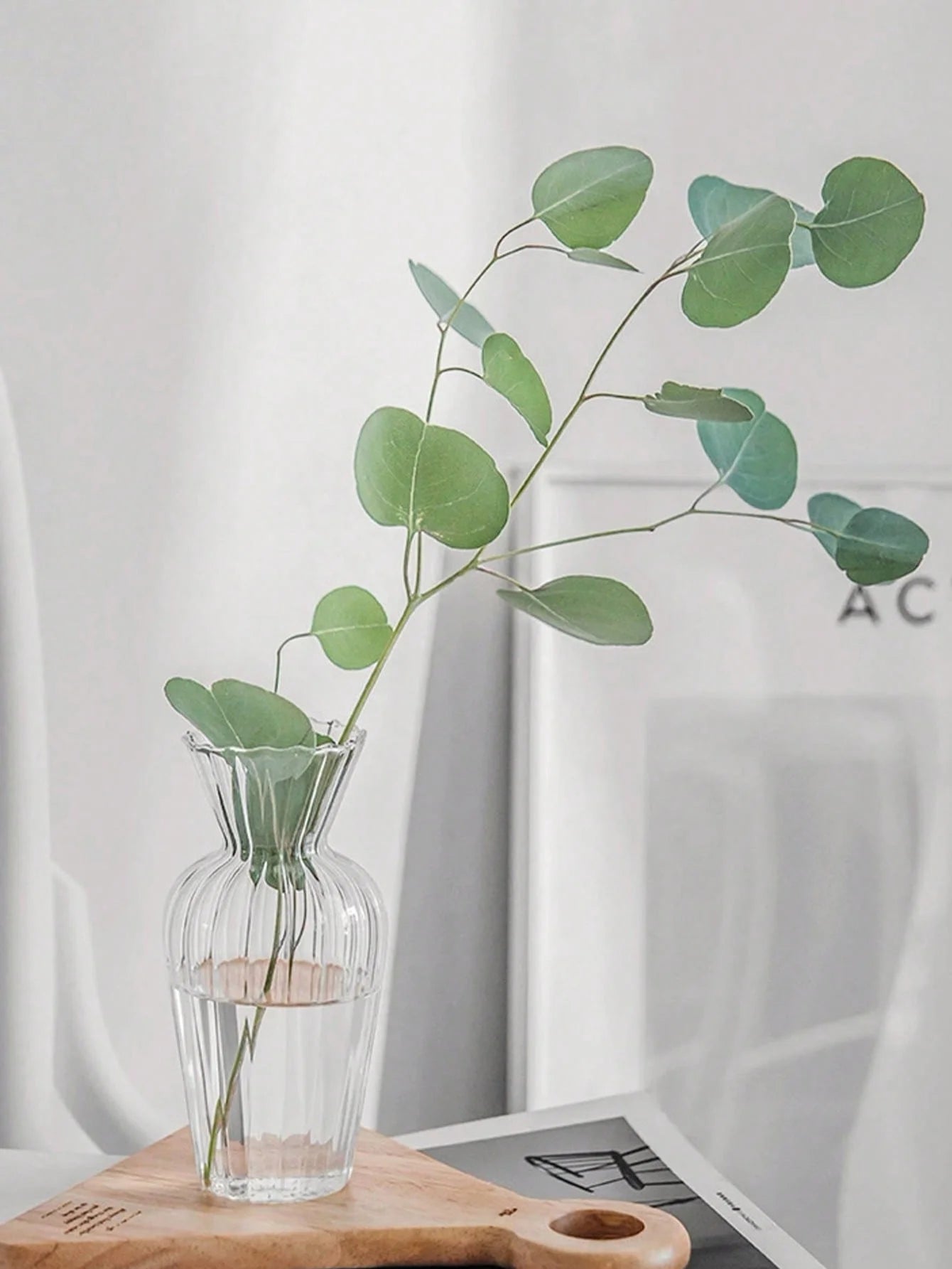 Petit Vases Émaillé Hydroponique en Verre