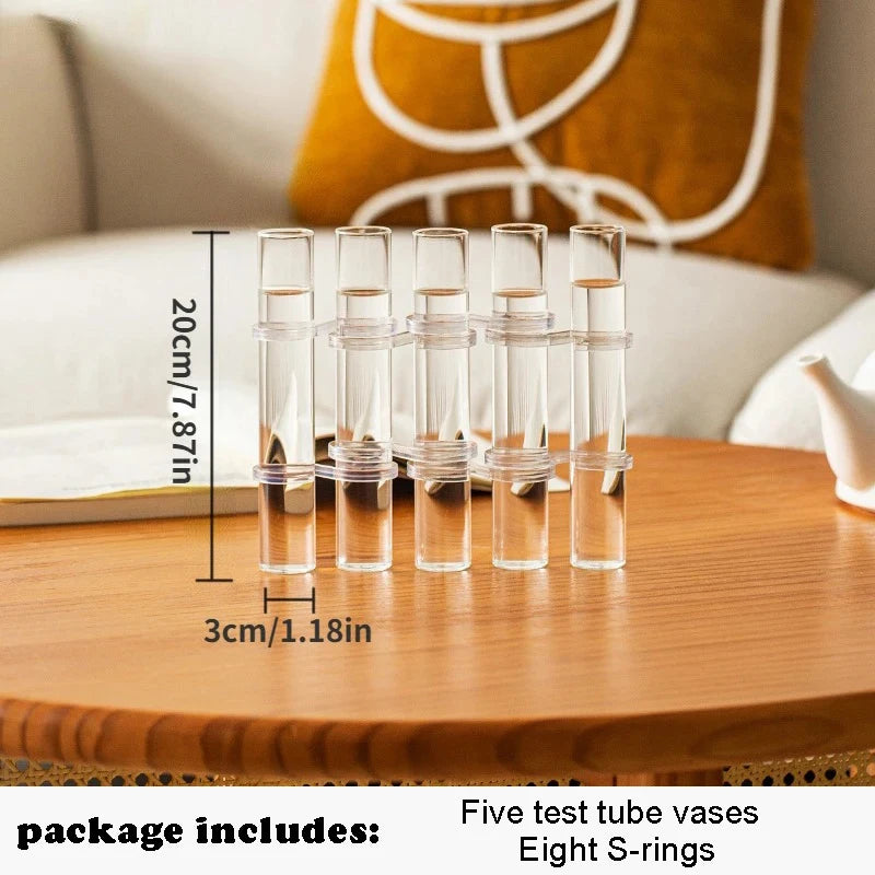 Set de Vases Hydroponique Cylindrique en Verre