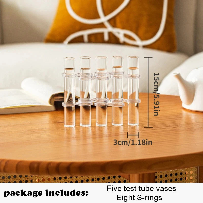 Set de Vases Hydroponique Cylindrique en Verre