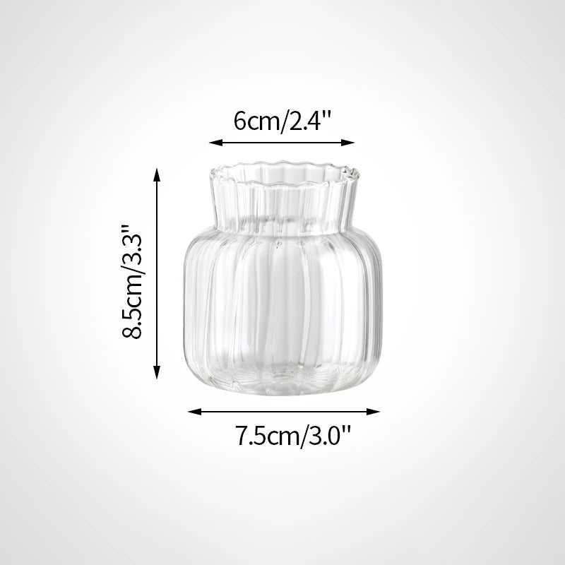 Vases en Verre Transparent Nervuré Moderne