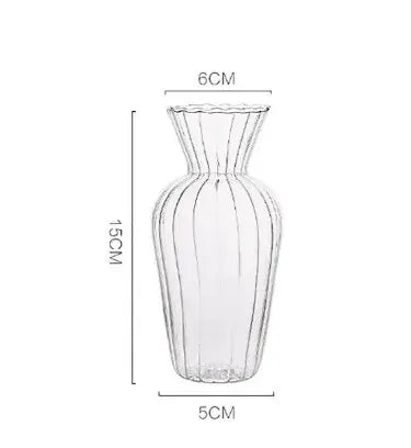 Vases Scandinaves Transparents Hydroponique en Verre